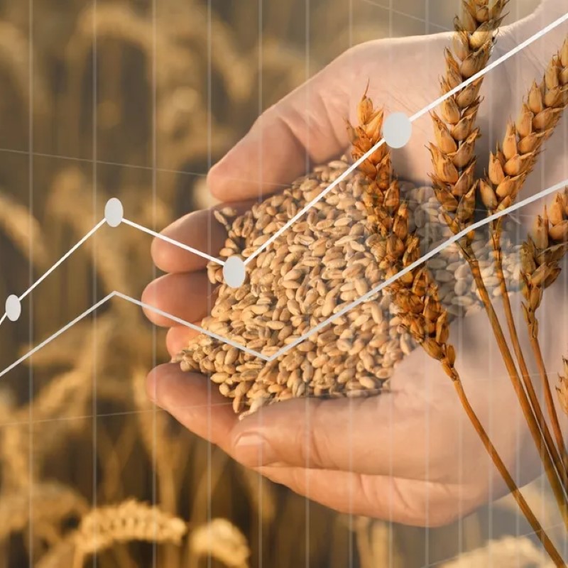 Commodity-Backed Financing